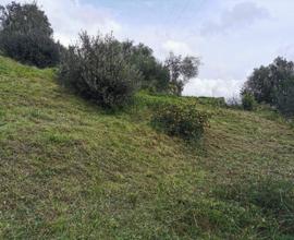 Terreno agricolo treaire