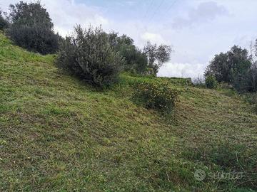 Terreno agricolo treaire