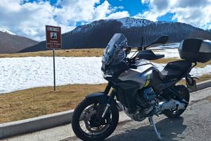 moto guzzi stelvio 2024 1000 pff radar