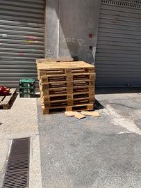 Piattine legno Epal