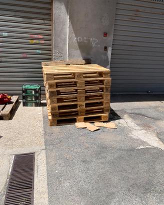 Piattine legno Epal