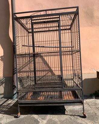 Gabbia per grandi uccelli