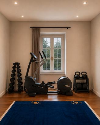Ellittica Technogym Synchro
