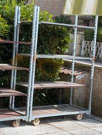 carrello con pianali