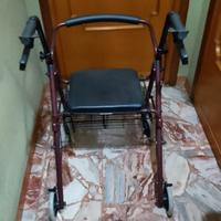 Carello disabili