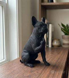 bulldog francese - Cane educato... ma no