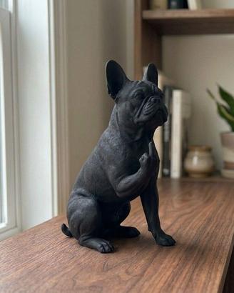 bulldog francese - Cane educato... ma no