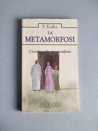 Kafka - La Metamorfosi. Demetra. Acquarelli 1994