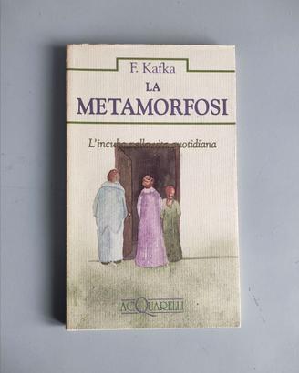 Kafka - La Metamorfosi. Demetra. Acquarelli 1994