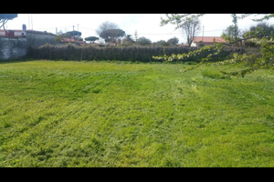 Terreno Borgo Sabotino