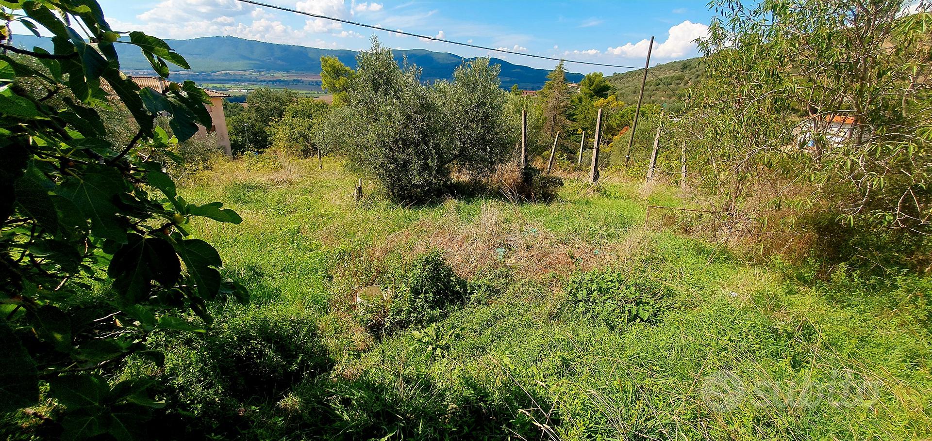 casale da ristrutturare - Altro