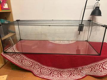 terrario in vetro con copertura