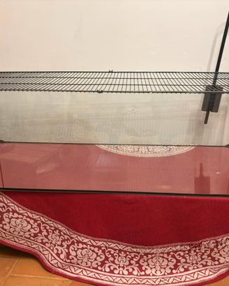 terrario in vetro con copertura