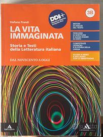 La vita immaginata 3B
