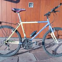 mountain bike Radius taglia M buono stato