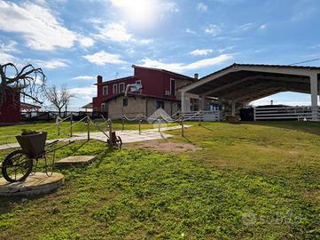 CASA SEMINDIPENDENTE A MONTALTO DI CASTRO