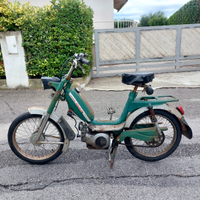 Motorino giulietta pointer