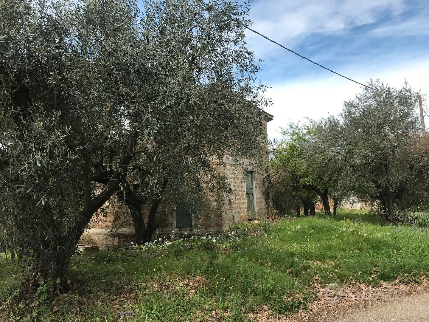 Terreno con Rustico - Vista 3