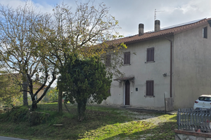 Vedrai che nn te ne pentirai