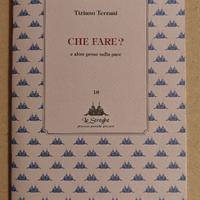Tiziano Terzani - Che fare?