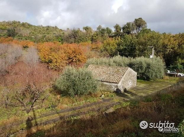 Terreno 5 ettari con fabbricato Piedimonte Etneo