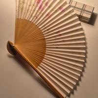 Ventaglio giapponese 