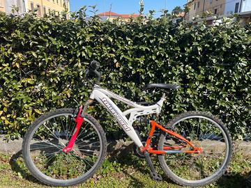 Biciclette