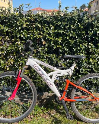 Biciclette