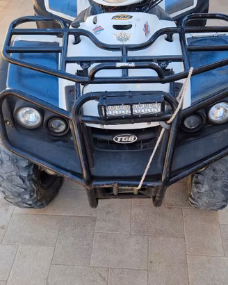 quad 550 blade