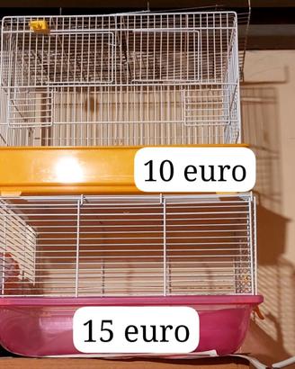 Inseparabile più gabbie