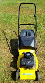 Rasaerba motore Briggs & Stratton 