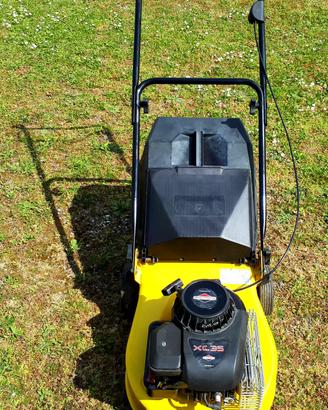 Rasaerba motore Briggs & Stratton 