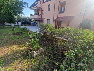 Appartamento con ulivi