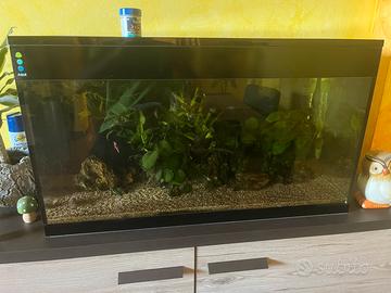 Acquario askoll xl nero