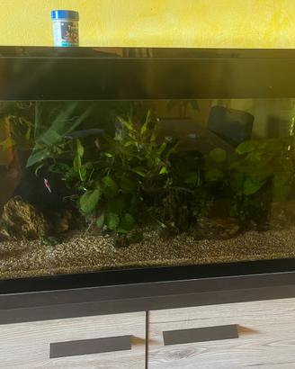 Acquario askoll xl nero