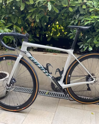 Giant tcr 2021