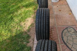 Gomme estive