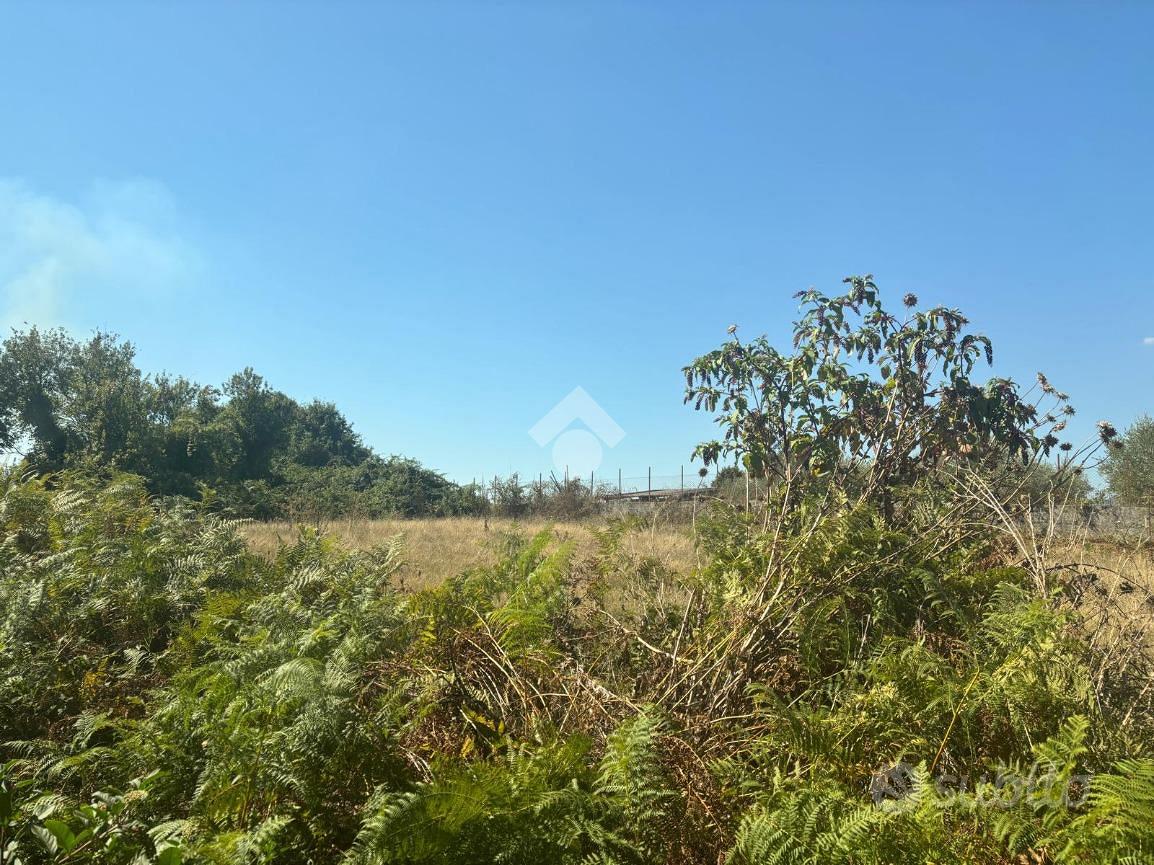 TER. AGRICOLO A ARTENA - Vista 4