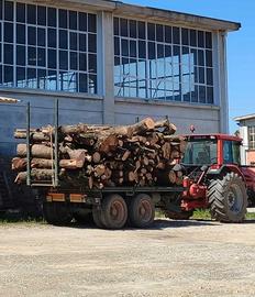 rimorchio trazionato forestale