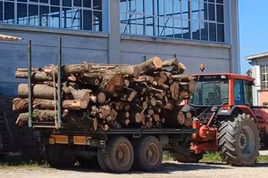 rimorchio trazionato forestale
