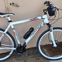 bicicletta turismo Torpado T810