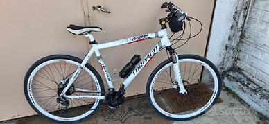 bicicletta turismo Torpado T810