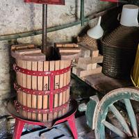 Torchio per uva Diametro 45cm