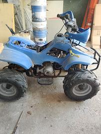 mini quad