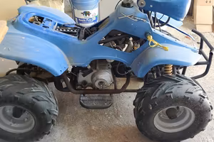 mini quad