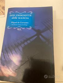 Don Chisciotte della Mancia. Miguel de Cervantes