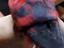 Immagine 2