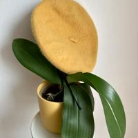 Cappello basco giallo