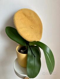 Cappello basco giallo