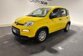 FIAT Panda 3ª serie - Panda 1.0 FireFly S&S U64294